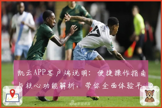 凯云APP客户端说明:便捷操作指南与核心功能解析,带你全面体验平台亮点